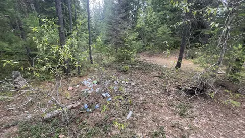 3084 Sicley Rd, Cusick, WA 99119 photo 3