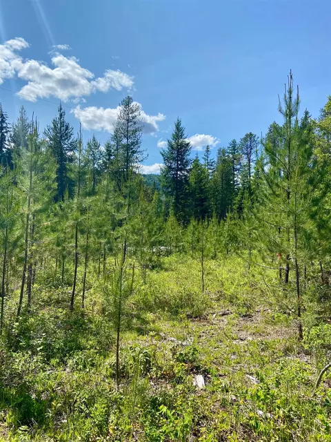 tbd W Joyner Dr, Cusick, WA 99119 photo 9