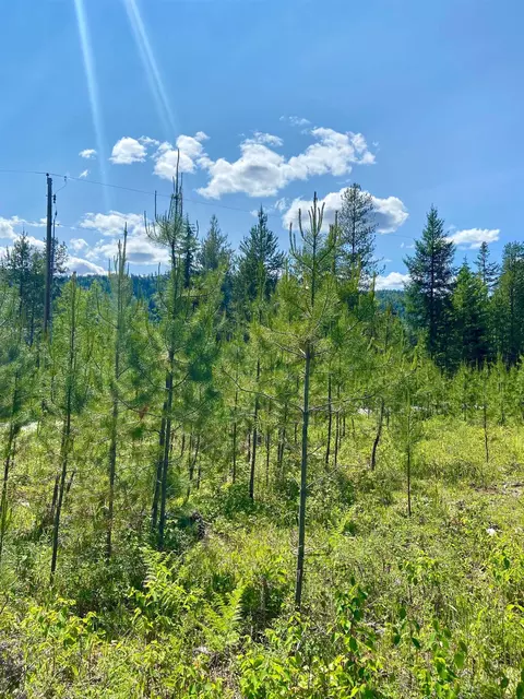 tbd W Joyner Dr, Cusick, WA 99119 photo 7