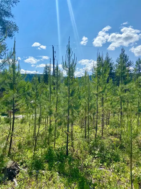tbd W Joyner Dr, Cusick, WA 99119 photo 10
