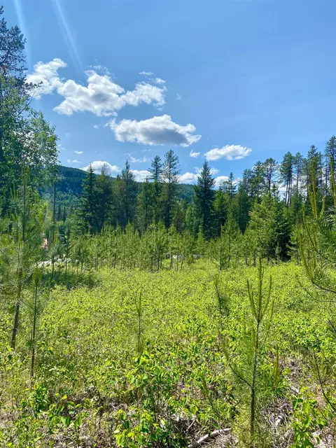 tbd W Joyner Dr, Cusick, WA 99119