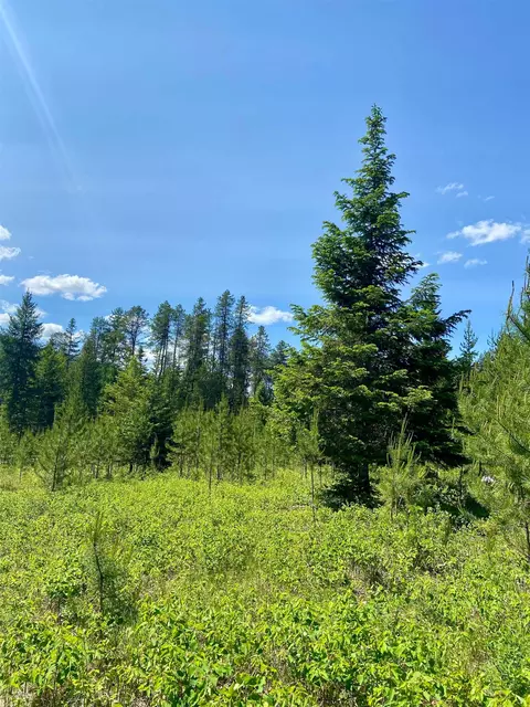 tbd W Joyner Dr, Cusick, WA 99119 photo 8