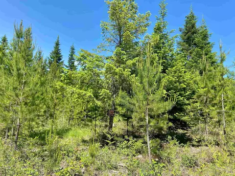 tbd W Joyner Dr, Cusick, WA 99119 photo 5