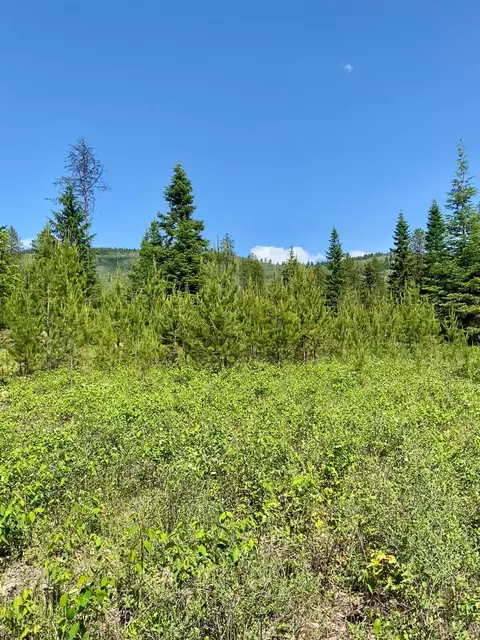 tbd W Joyner Dr, Cusick, WA 99119 photo 6
