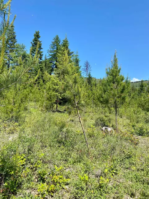 tbd W Joyner Dr, Cusick, WA 99119 photo 4