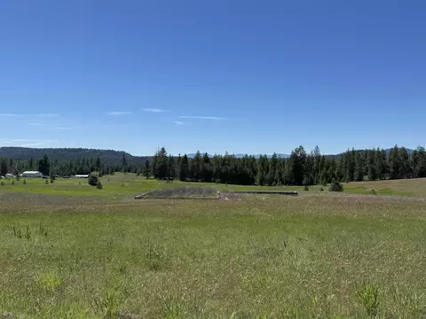 4091 Jepsen Rd, Springdale, WA 99173