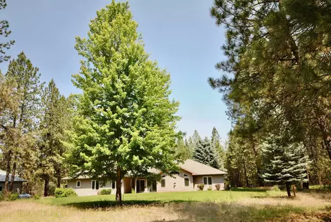 3704 E Pineland Rd, Colbert, WA 99005 photo 46