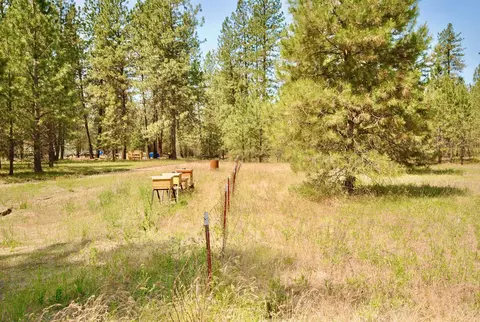 3704 E Pineland Rd, Colbert, WA 99005 photo 49