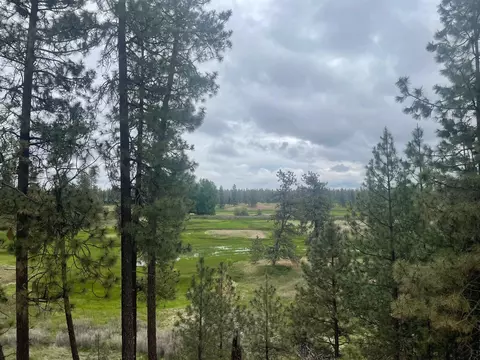 Nnn S Cheney Plaza Rd, Cheney, WA 99004