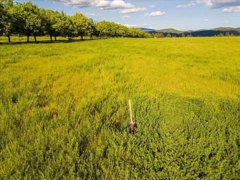 10621 E Day Mt Spokane Rd #SOUTH PARCEL, Mead, WA 99021
