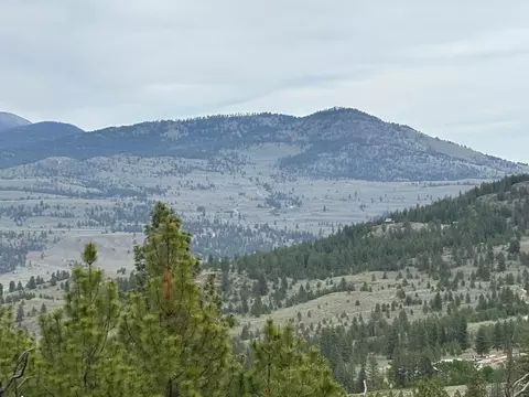 8 Nn Upper Reevas Basin Rd #LOT 3628012011, Other, WA 98855