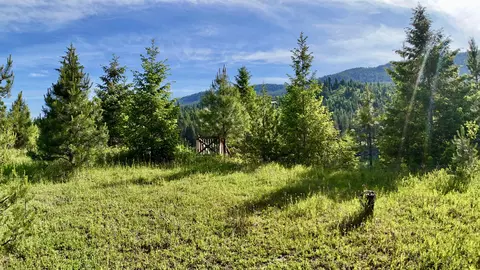 21 E Joyner Dr, Cusick, WA 99119 photo 17