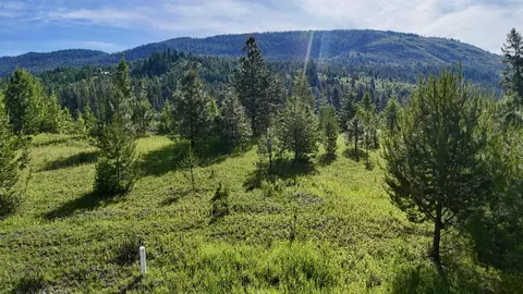 21 E Joyner Dr, Cusick, WA 99119 photo 18
