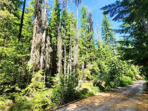 7450 Ruby Creek Rd, Cusick, WA 99119 photo 13