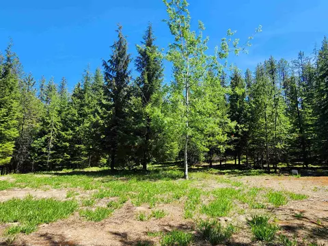 7450 Ruby Creek Rd, Cusick, WA 99119