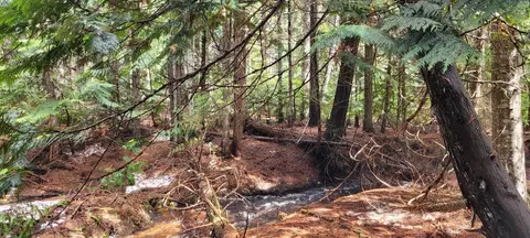 7450 Ruby Creek Rd, Cusick, WA 99119 photo 3