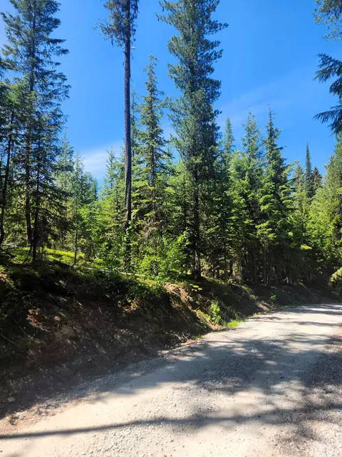 7450 Ruby Creek Rd, Cusick, WA 99119 photo 9