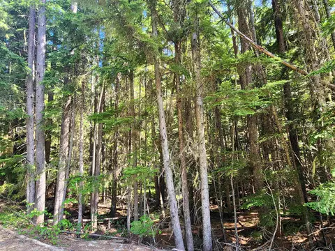 7450 Ruby Creek Rd, Cusick, WA 99119 photo 11