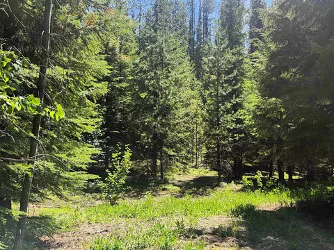 7450 Ruby Creek Rd, Cusick, WA 99119 photo 5