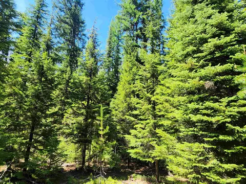 7450 Ruby Creek Rd, Cusick, WA 99119 photo 7