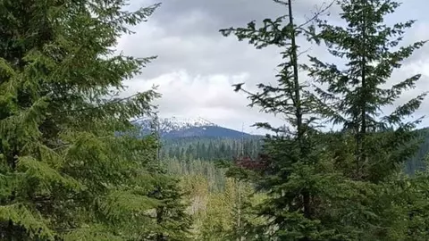 203 E Nn E Wallis Rd, Mead, WA 99021