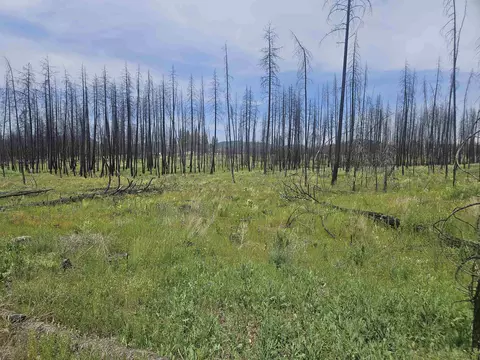 159 E Nn E Oregon 490139043 Rd, Elk, WA 99009 photo 3