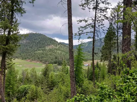 40 Nn Daisy Mine Rd, Gifford, WA 99131