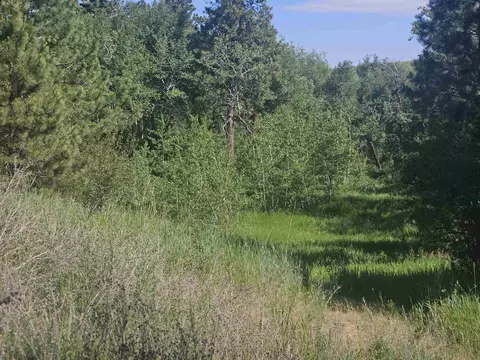 Nnnn W Orchard Heights 14242.0172&14242.0175 Rd, Cheney, WA 99004