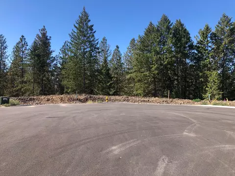 16999 N Morton Ln, Colbert, WA 99005