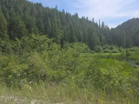 37 Nn Red Marble Rd, Valley, WA 99181