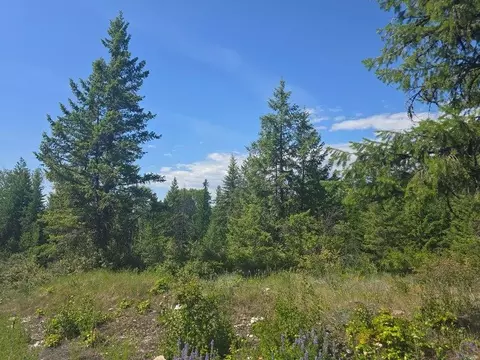 37 Nn Hill Loop Rd, Kettle Falls, WA 99141