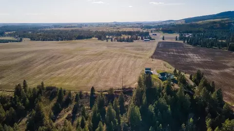 13509 E Gibbs Rd, Mica, WA 99023