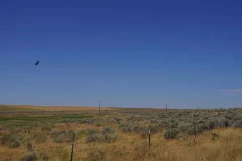 NKA Coal Springs Rd #18XXX COAL SPRINGS RD, Harrington, WA 99134