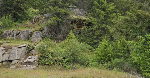 279 Deep Lake Boundary Rd # X, Colville, WA 99114