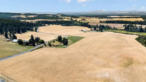 View/Area - 8001 E Woolard Rd, Colbert, WA 99005 photo 3 of 3