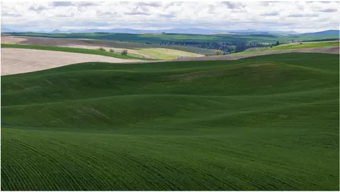 tbd Dr, Rosalia, WA 99170