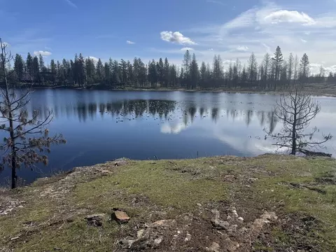 Nnn W Page Pond Ln, Medical Lake, WA 99022
