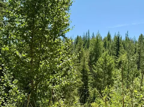 tbd Perenlandra Cir #LOT 41, Other, WA 99121