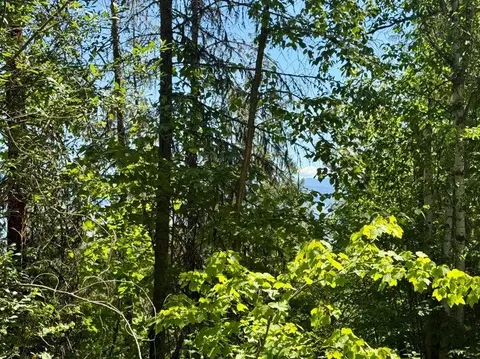 tbd Perelandra Lot 363741 Cir, Other, WA 99121