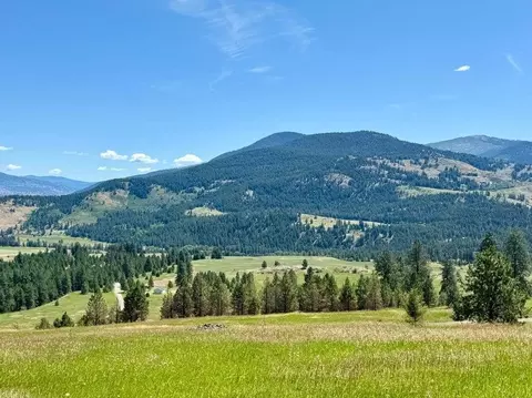 tbd Perelandra Cir Lot 36 37 Cir #LOT 36, 37, Other, WA 99121