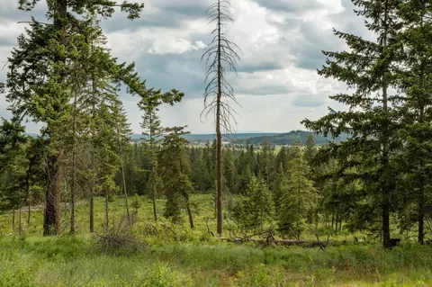 645 Juanita Ln, Elk, WA 99009