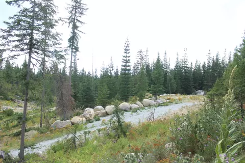 10 Nn Buck Creek Rd, Newport, WA 99156