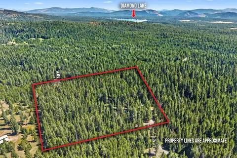 372 Spring Hill Rd, Newport, WA 99156
