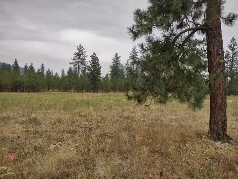 7534 Kimberly Dr Way, Ford, WA 99013