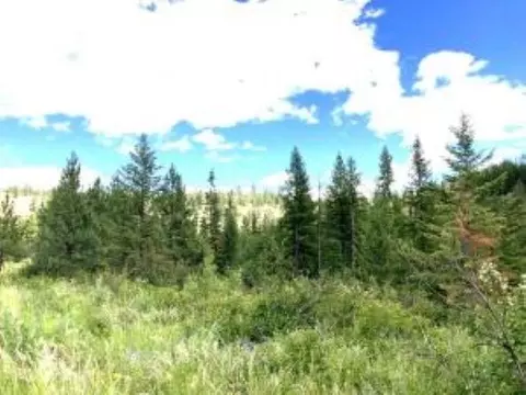 APT u Buffy Ln, Inchelium, WA 99138