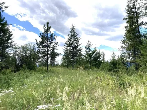 APT u Buffy Ln, Inchelium, WA 99138