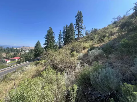 Nnn E Seven Bays Rd, Lincoln, WA 99147