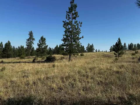 36295 Sr 231 N, Reardan, WA 99029