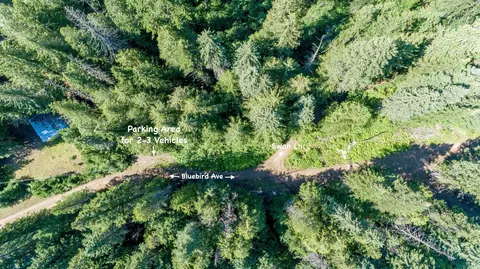 182 Bluebird Ave, Cusick, WA 99119 photo 22