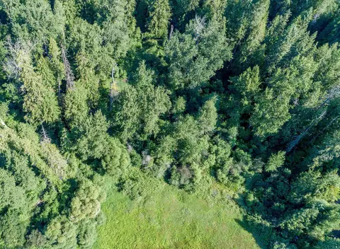 182 Bluebird Ave, Cusick, WA 99119 photo 35